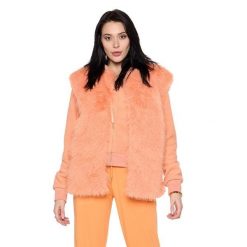 Kurtka na co dzień na siłownię. Brązowe kurtki sportowe damskie LEONE 1947 APPAREL, bez wzorów, z poliesteru, bez ramiączek, bez kaptura, na fitness i siłownię. Za 218.92 zł.