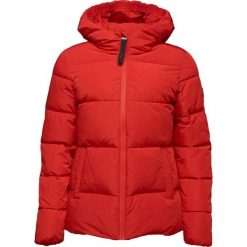 Damska kurtka Loap Tadarida czerwona. Czerwone kurtki sportowe damskie Scarpa, na zimę, bez wzorów, z puchu, bez ramiączek, bez kaptura, trekkingowe. Za 256.99 zł.