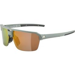 Okulary przeciwsłoneczne Alpina SWIFT HR. Zielone okulary przeciwsłoneczne damskie Alpina. Za 251.00 zł.