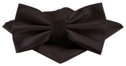 Mucha Męska w Zestawie z Poszetką - Alties - Głęboki Brąz. Krawaty i muchy Alties, bez wzorów, eleganckie. Za 65.00 zł.