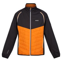 Kurtka Męska Steren Hybrid Soft Shell. Czerwone kurtki męskie Regatta, m, bez wzorów, z softshellu, bez kaptura, trekkingowe. Za 155.99 zł.
