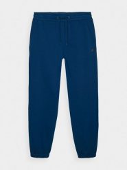 4F Spodnie dresowe joggery męskie - turkusowe L. Niebieskie spodnie materiałowe męskie 4F, l, bez wzorów, z bawełny. Za 149.99 zł.