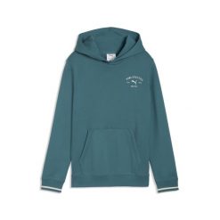 Młodzieżowa bluza z kapturem PUMA Class z grafiką PUMA. Szara bluzy damskie Puma, m, bez wzorów, młodzieżowe, bez ramiączek, z kapturem. Za 229.00 zł.