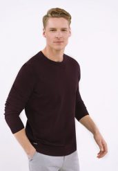 Lekki sweter S-RADO. Fioletowe swetry męskie Volcano, l, bez wzorów, z bawełny, klasyczne, bez kołnierzyka, bez ramiączek. Za 149.99 zł.