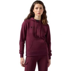 Bluza damska Champion Hooded Sweatshirt bordowa 118379 RS522. Czerwone bluzy damskie Champion, xs, bez wzorów, z bawełny, sportowe, bez ramiączek, bez kaptura. Za 250.73 zł.