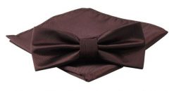 Mucha Męska z Poszetką, Brązowa Jednokolorowa w Drobny Prążek -ALTIES. Brązowe krawaty i muchy Alties, bez wzorów, eleganckie. Za 54.00 zł.