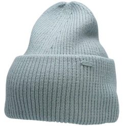 Czapka damska 4F. Niebieskie czapki damskie 4F, na zimę, bez wzorów, z materiału, eleganckie. Za 41.99 zł.