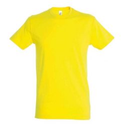 Koszulka Regent Dla Dorosłych Unisex. Zielone bluzki damskie SOL'S, s, bez wzorów, sportowe, bez kołnierzyka, bez ramiączek. Za 33.99 zł.