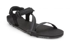 Panowie outdoorowy Xero Shoes Sandały Z-Trail EV Barefoot - Multi-czarne. Czarne sandały męskie XERO SHOES, bez wzorów, z materiału, bez zapięcia. Za 533.00 zł.