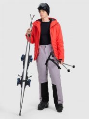 4F Spodnie narciarskie z szelkami membrana Dermizax 20000 męskie - szare L. Szare spodnie sportowe męskie 4F, l, bez wzorów, narciarskie, Dermizax. Za 999.99 zł.