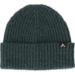 Czapka Whistler Plico. Niebieskie czapki damskie Whistler, bez wzorów. Za 158.00 zł.