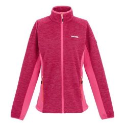 Damska Bluza Polarowa Highton IV Z Pełnym Zamkiem Błyskawicznym. Czerwone bluzy damskie Regatta, na zimę, xl, bez wzorów, z polaru, sportowe, bez ramiączek, bez kaptura. Za 70.99 zł.