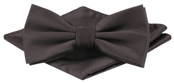 Mucha Męska z Poszetką - Alties - Czekoladowa. Brązowe krawaty i muchy Alties, bez wzorów, eleganckie. Za 54.00 zł.