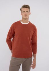 Lekki sweter S-RADO. Brązowe swetry męskie Volcano, m, bez wzorów, z bawełny, klasyczne, bez kołnierzyka, bez ramiączek. Za 139.99 zł.