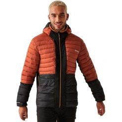 Męska Kurtka Leedre Hybrid Padded Jacket. Czarne kurtki męskie Regatta, m, bez wzorów, z elastanu, z kapturem. Za 140.99 zł.