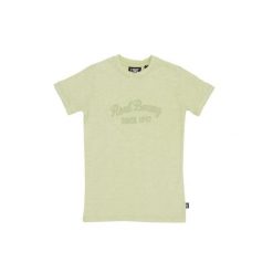 Koszulka miękki z bawełna na co dzień na siłownię. Zielone bluzki damskie LEONE 1947 APPAREL, bez wzorów, z bawełny, sportowe, bez kołnierzyka, bez ramiączek. W wyprzedaży za 54.73 zł.