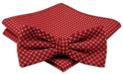 Modna Mucha Męska - Alties - Odcienie Pomarańczowego. Brązowe krawaty i muchy Alties, bez wzorów, eleganckie. Za 54.00 zł.
