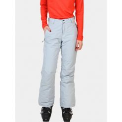 Damskie Spodnie Narciarskie Columbia Shafer Canyon II. Szare spodnie dresowe damskie Columbia, bez wzorów, sportowe. Za 559.00 zł.