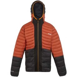 Męska Kurtka Leedre Hybrid Padded Jacket. Czarne kurtki męskie Regatta, m, bez wzorów, z puchu, sportowe, bez kaptura. Za 155.99 zł.