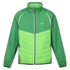 Kurtka Męska Steren Hybrid Soft Shell. Zielone kurtki sportowe męskie Regatta, m, bez wzorów, z softshellu, bez kaptura, trekkingowe. Za 132.99 zł.