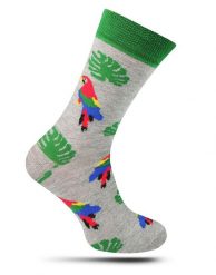 Skarpetki Casualowe, Szare w Kolorowe Papugi, ARA,, Męskie -EM Men's Accessories. Szare skarpety męskie Em men's accessories, bez wzorów, z bawełny. Za 29.99 zł.