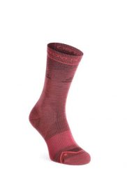 Skarpety merino damskie Ortovox Alpine Pro Comp Mid Socks. Czerwone skarpetki damskie ORTOVOX, bez wzorów, z poliamidu. Za 141.79 zł.