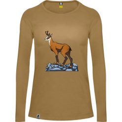 Koszulka trekkingowa z długim rękawem damska Alpinus Varena brązowa. Brązowe bluzki damskie Alpinus, s, bez wzorów, sportowe, bez kołnierzyka, bez ramiączek. Za 85.00 zł.