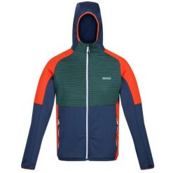 Kurtka softshell męska Regatta Attare, rozmiar S. Brązowe kurtki sportowe męskie Regatta, m, bez wzorów, z softshellu, bez kaptura, trekkingowe. Za 229.99 zł.
