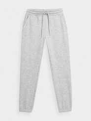 4F Spodnie dresowe joggery damskie XL. Szare spodnie dresowe damskie 4F, bez wzorów, z bawełny. W wyprzedaży za 79.99 zł.