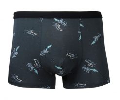 Bokserki Obcisłe, Grafitowe w Listki, Bawełniane, Majtki z Elastanem -ALTIES. Szare bokserki męskie Alties, bez wzorów, z bawełny. Za 35.00 zł.