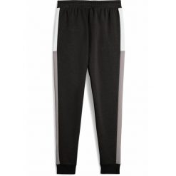 Młodzieżowe spodnie dresowe Essentials Block PUMA Black. Czarna spodnie dresowe damskie Puma, m, bez wzorów, z dresówki, na jogę i pilates. W wyprzedaży za 99.00 zł.