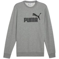 Bluza Męska Logo Dekolt W Szpic Essentials No 1. Szare bluzy męskie Puma, m, bez wzorów, bez ramiączek, bez kaptura. Za 208.99 zł.