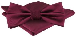 Mucha Męska z Poszetką w Zestawie - Alties - Głębokie Bordo. Czerwone krawaty i muchy Alties, bez wzorów, eleganckie. Za 65.00 zł.