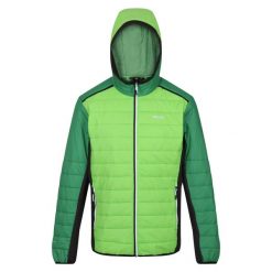 Męska Kurtka Trutton II Baffled Padded Jacket. Zielone kurtki męskie Regatta, m, bez wzorów, z puchu, sportowe, bez kaptura. Za 142.99 zł.