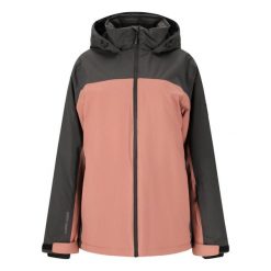 Kurtka narciarska damska Whistler Montill W-PRO 10000. Brązowe kurtki sportowe damskie Whistler, bez wzorów, bez ramiączek, bez kaptura, narciarskie. Za 399.99 zł.