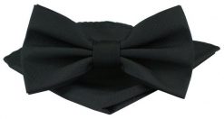 Mucha Męska w Zestawie z Poszetką - Alties - Jednolita, Czarna. Czarne krawaty i muchy Alties, bez wzorów, eleganckie. Za 65.00 zł.