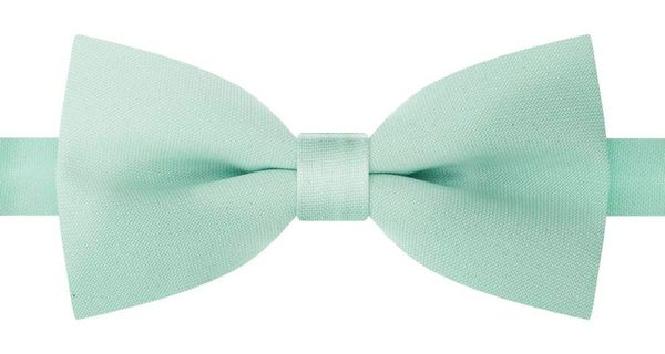 Mucha Męska - His Story - Miętowa. Zielone krawaty i muchy His Story, z aplikacjami, z mikrofibry, eleganckie. Za 45.00 zł.