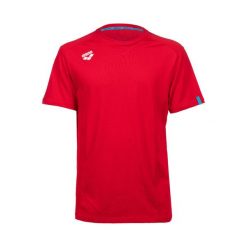 Koszulka Arena Team T-Shirt Panel. Białe koszulki sportowe damskie ARENA, s, bez wzorów, ze skóry, bez ramiączek. Za 99.00 zł.
