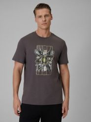 4F T-shirt regular z nadrukiem męski - szary 3XL. Szare t-shirty męskie 4F, m, bez wzorów, z dzianiny, bez kołnierzyka, bez ramiączek. Za 69.99 zł.