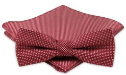 Modna Mucha Męska - Alties - Czerwona z Białym Rzucikiem. Czerwone krawaty i muchy Alties, bez wzorów, eleganckie. Za 54.00 zł.
