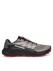 Salomon Buty do biegania Alphaglide L48000800 Szary. Szare buty sportowe męskie Salomon, bez wzorów, z materiału, bez zapięcia, do biegania. Za 429.99 zł.