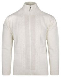 Sweter Beżowy Wełniany z Wysokim Dekoltem Zapinany na Zamek, Ciepły -DEVIR. Brązowe swetry męskie Devir, l, bez wzorów, z wełny, eleganckie, bez kołnierzyka, bez ramiączek. Za 259.00 zł.