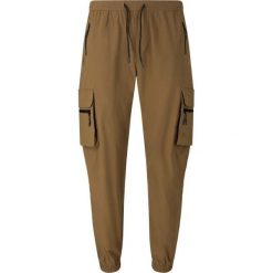 Damskie spodnie dresowe Whistler Portus. Brązowe spodnie dresowe damskie Whistler, bez wzorów, z dresówki, sportowe, długie. Za 276.50 zł.