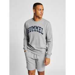 Bluza Hummel Ic Bill. Szare bluzy męskie Hummel, l, bez wzorów, sportowe, bez ramiączek, bez kaptura. W wyprzedaży za 201.00 zł.