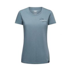 T-shirt damski La Sportiva Climb Flower. Zielone t-shirty damskie La Sportiva, l, bez wzorów, z bawełny, bez kołnierzyka, bez ramiączek. Za 211.00 zł.