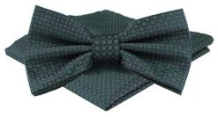 Mucha Męska w Zestawie z Poszetką - Alties - Zieleń, Groszki. Zielone krawaty i muchy Alties, bez wzorów, eleganckie. Za 65.00 zł.