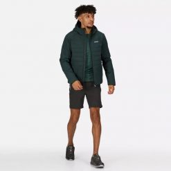 Męska Kurtka Przejściowa Daxford. Zielone kurtki męskie Regatta, na zimę, m, bez wzorów, z materiału, eleganckie, z kapturem. Za 78.99 zł.