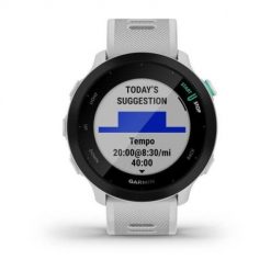 Zegarek Garmin Forerunner 55 GPS Whitestone. Zegarki sportowe Garmin, bez wzorów. Za 731.99 zł.