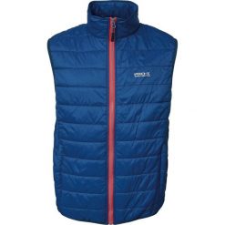 Kurtka puchowa Pro-X Elements Hasn. Niebieskie kurtki męskie PRO-X ELEMENTS, m, bez wzorów, z puchu, sportowe, bez kaptura. Za 349.50 zł.