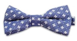 Niebieska Mucha w Drobne Krzyżyki, Męska. Niebieskie krawaty i muchy Vernon, bez wzorów, eleganckie. Za 29.00 zł.